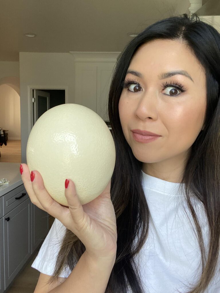 What Ostrich Egg Recipes Would You Like Me to Make?