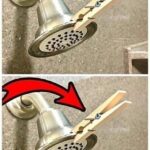 Elevate Your Shower Experience with This Luxurious Hack