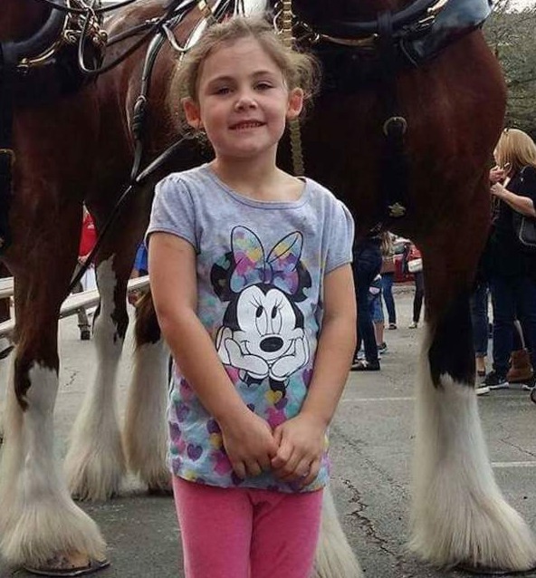 Dad takes daughter’s photo in front of giant horse, looks closer and can’t stop laughing