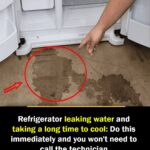 Refrigerator leaking water and taking a long time to cool: Do this immediately and you won’t need to call the technician