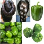 Green Pepper Magic! The Indian Secret 🌿 to Grow Hair at Rocket Speed and Treat Baldness!