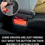 Some Drivers are Just Finding Out What the Button on their Seat Belt is for