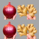 Onion: The Everyday Superfood