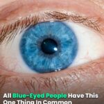 Aside from their blue eyes, all blue-eyed persons have one characteristic.