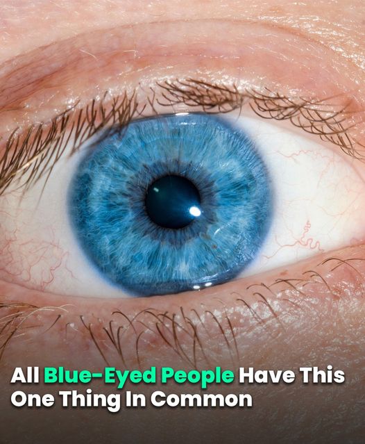 Aside from their blue eyes, all blue-eyed persons have one characteristic.