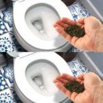 The cool trick to remove the smell of urine from the bathroom