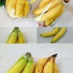 No more rotten and black bananas after a few days: with this method they will last 2 years