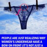 Why Women’s Underwear Have A Bow On Front