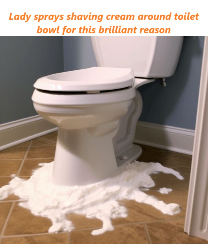 Lady Sprays Shaving Cream Around Toilet Bowl for This Brilliant Reason