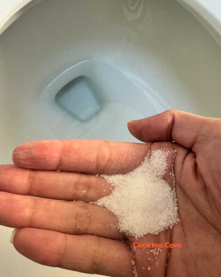 Put salt in your toilet. Here’s why. This is something plumbers will never tell you