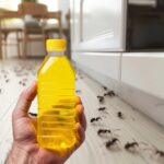 4 mins is all you need to get rid of your ants. Here’s how