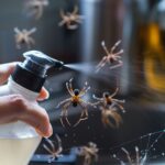 With warmer days ahead, I swear by this method to getting rid of all the spiders