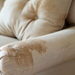 You are doing it all wrong. Here’s the right way to clean your couch using Oxi Clean