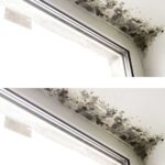 Get rid of mold on walls and damp spots naturally with these clever tips