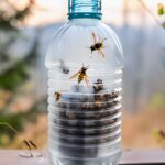 If you are looking for a wasp fix, try this homemade trap. My grandpa swears by it!