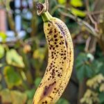 Here’s why you want to hang an overripe banana in your garden