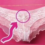 Why Women’s Underwear Have A Bow On Front