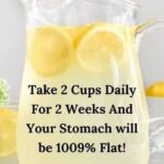 616846646_122284784372077433_2846766291983205948_n