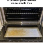 621576843_2092081271557340_1271427220474614259_n